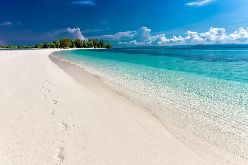 Coastal Paradise Garden